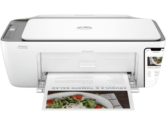 HP Printer AiO DeskJet 2876, Ink Advantage