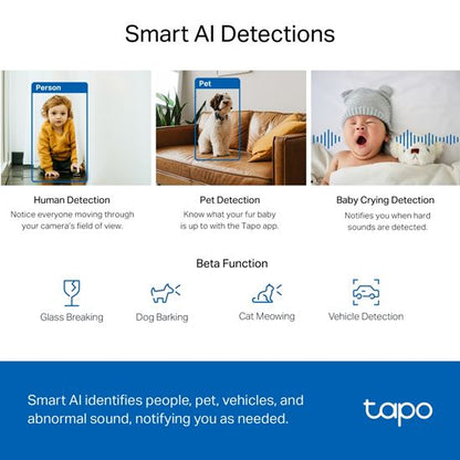 TP-Link Camera TAPO,Pan/Tilt Wi-Fi,HQ images