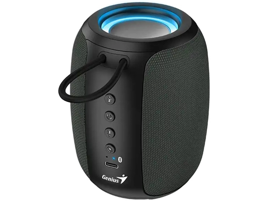 Genius Speaker Bluetooth, SP-915BT, Portable, Grey