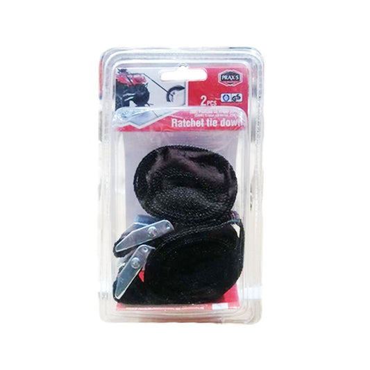 Praxis luggage tie-downs 2 x 250 cm