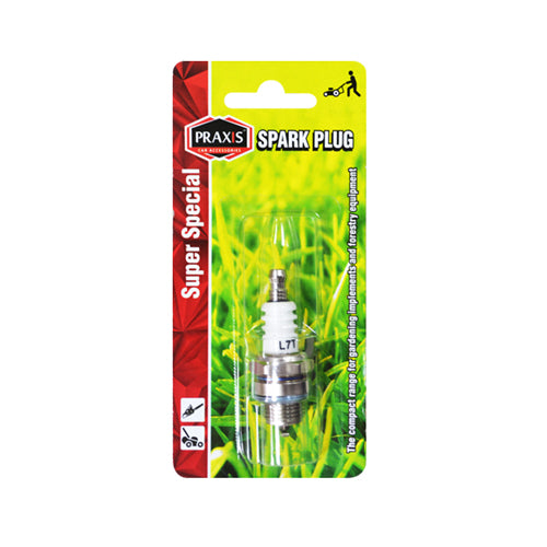 Praxis engine spark plugs