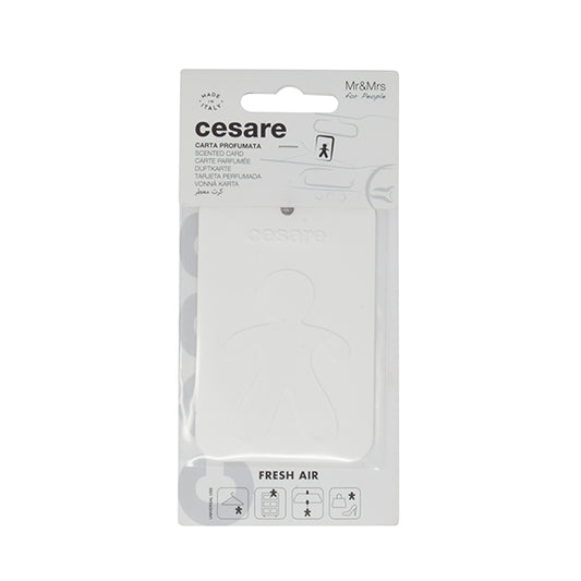 Mr&Mrs Cesare Card Bardhe