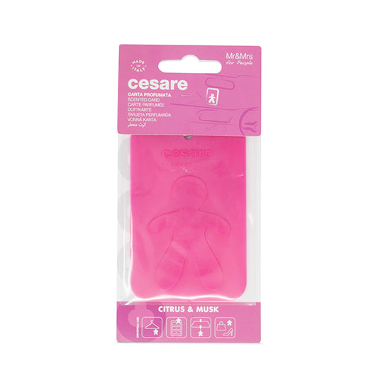Mr&Mrs Cesare Card Pembe