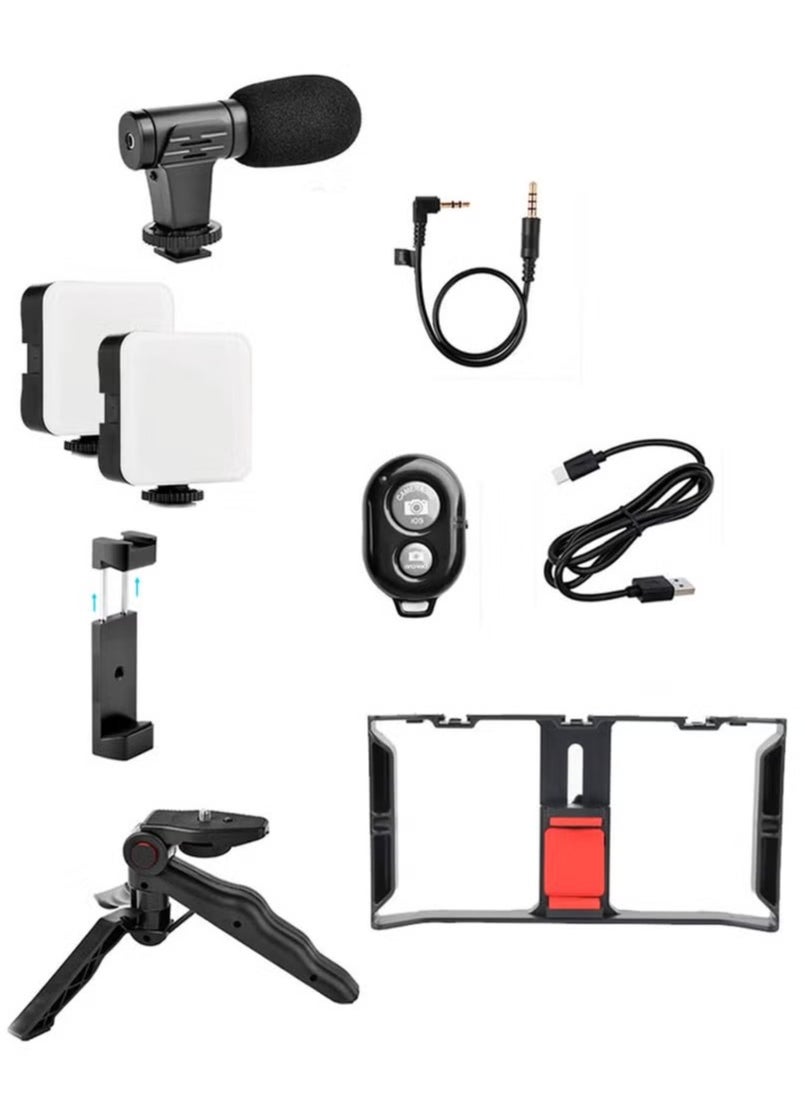 Set per vlogging AY-49X