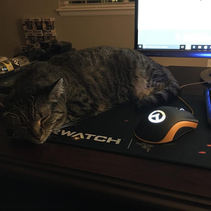 Maus Gaming Razer Deathadder Overwatch Edition