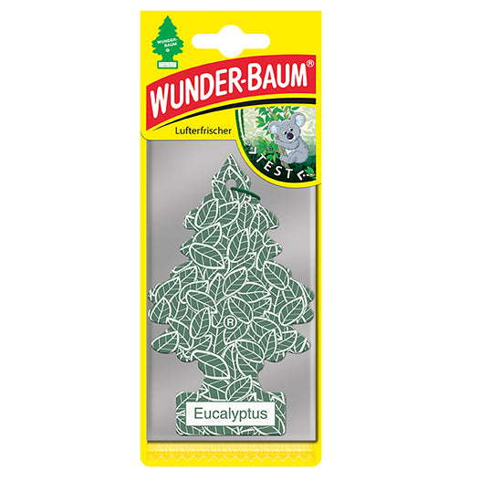 Wonder Tree Pine Eucalyptus