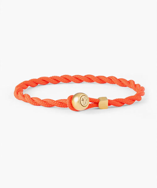 Pig & Hen ED - RADIANT ORANGE - GOLD - S/M