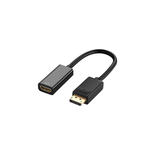 Konvertor DP to HDTV