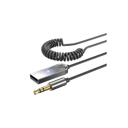 Audio Reciver USB to Aux Earldom M93