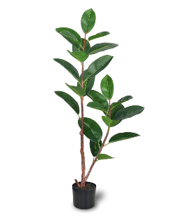 Bimë artificiale Rubber Tree, 90 cm