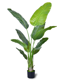Bimë artificiale Travellers‘ Palm, 120 cm