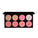 Revolution Blush Sugar & Spice