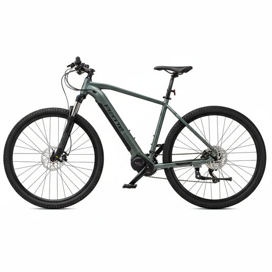 e-Bike MS ENERGY eBike m100