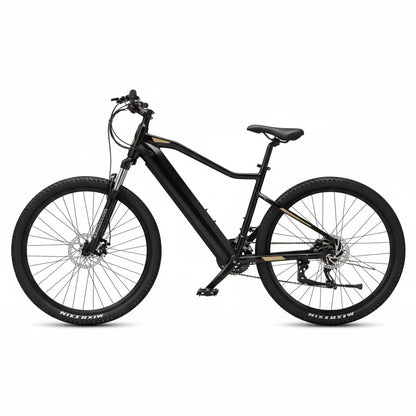 e-Bike MS ENERGY eBike m10
