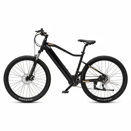 e-Bike MS ENERGY eBike m10