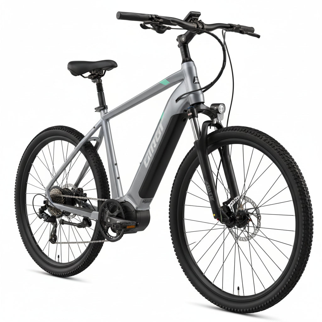 e-Bike MS ENERGY eBike c101