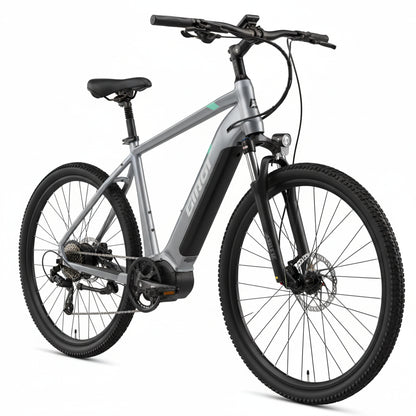 e-Bike MS ENERGY eBike c101