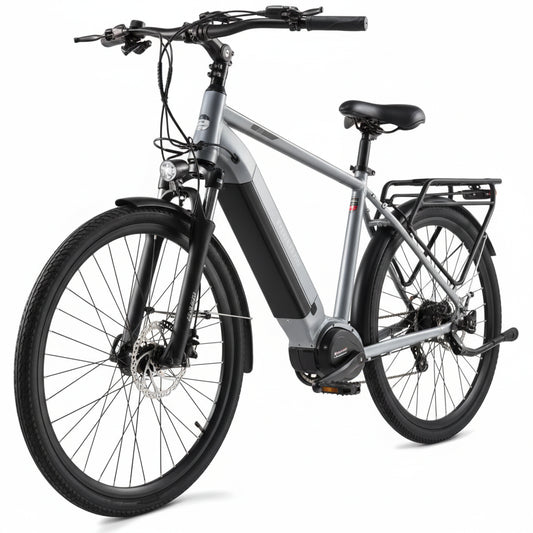 e-Bike MS ENERGY eBike c101