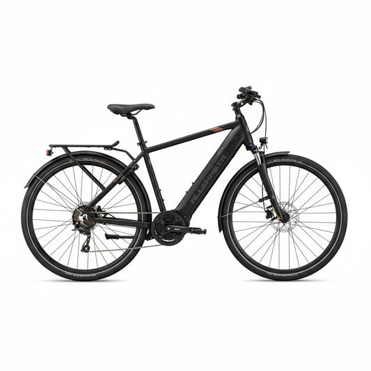 e-Bike MS ENERGY eBike t10