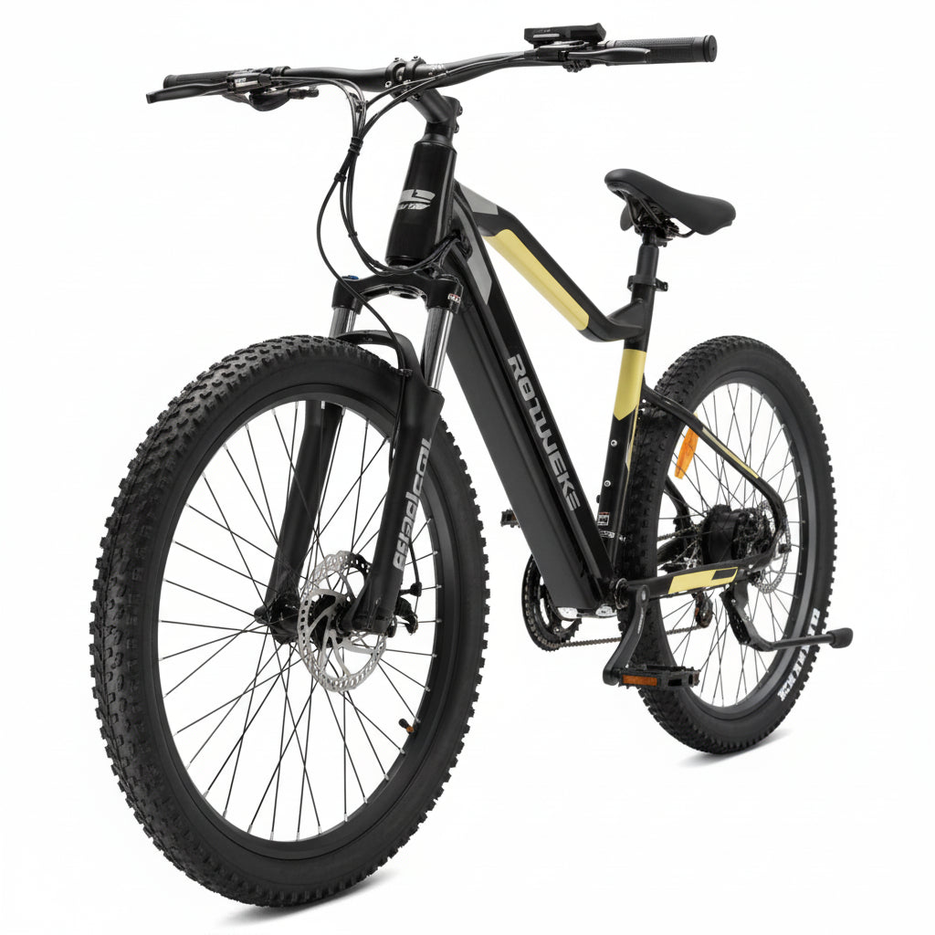 e-Bike MS ENERGY eBike m10