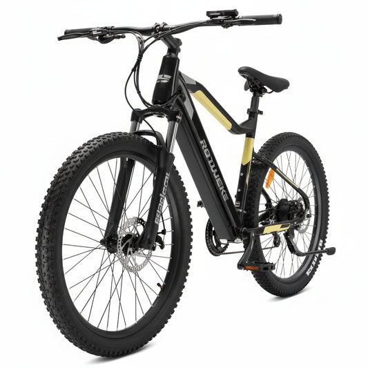 e-Bike MS ENERGY eBike m10