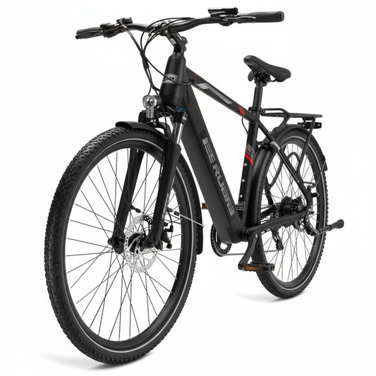 e-Bike MS ENERGY eBike t10