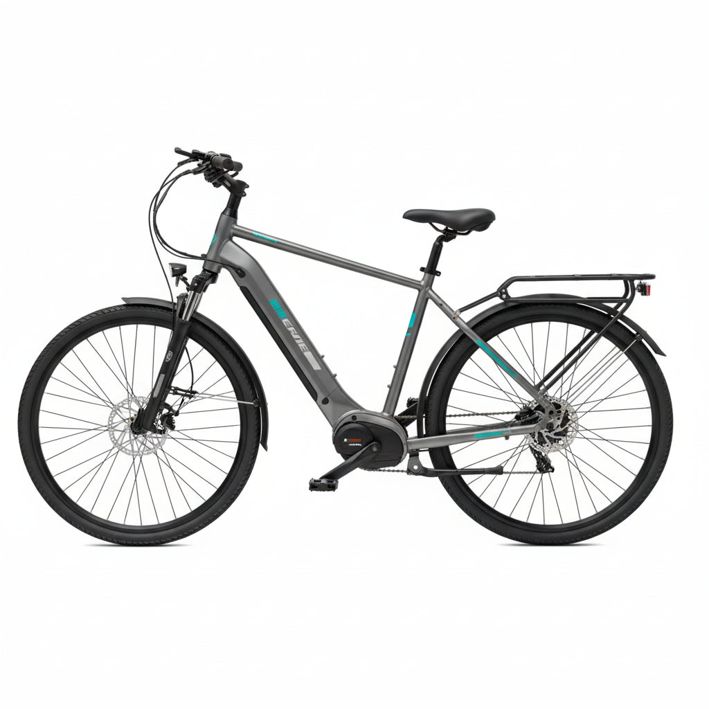 e-Bike MS ENERGY eBike c101