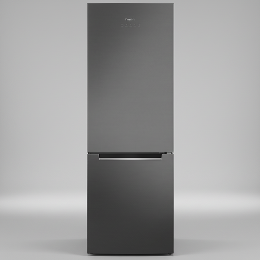 Frigorifer Amica FK2995.2FTH(E)