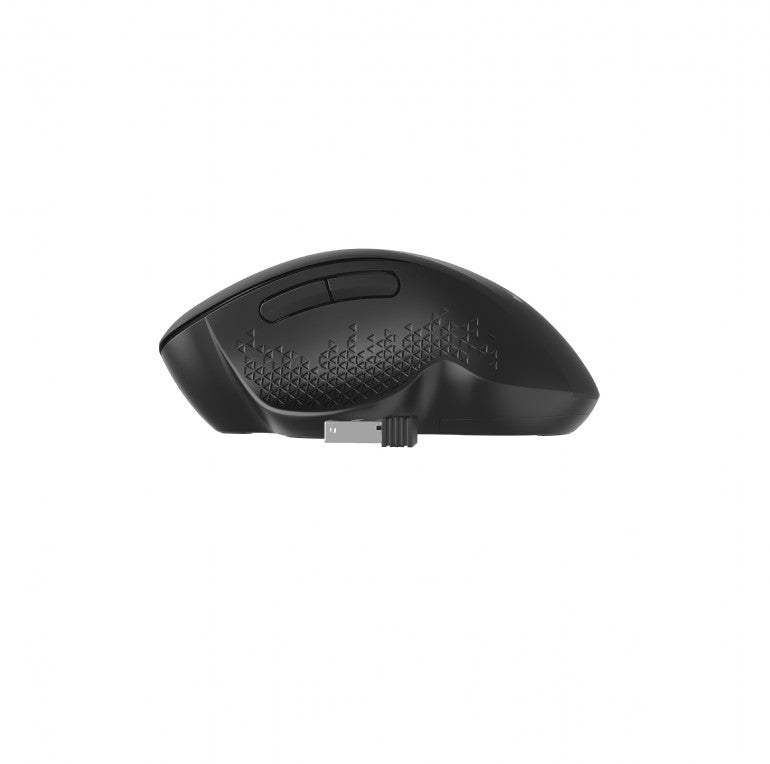 Maus Optik (MUSW-6B-02)