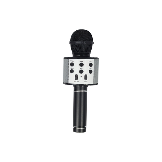 Mikrofon IConn MC476
